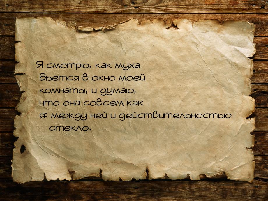 Я смотрю, как муха бьется в окно моей комнаты, и думаю, что она совсем как я: между ней и 