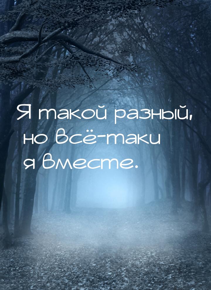 Я такой разный, но всё-таки я вместе.