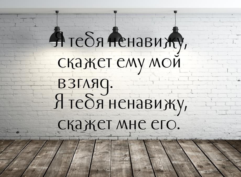 Я тебя ненавижу, скажет ему мой взгляд. Я тебя ненавижу, скажет мне его.