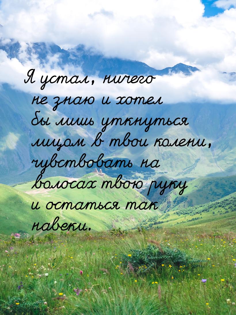 Я устал, ничего не знаю и хотел бы лишь уткнуться лицом в твои колени, чувствовать на воло