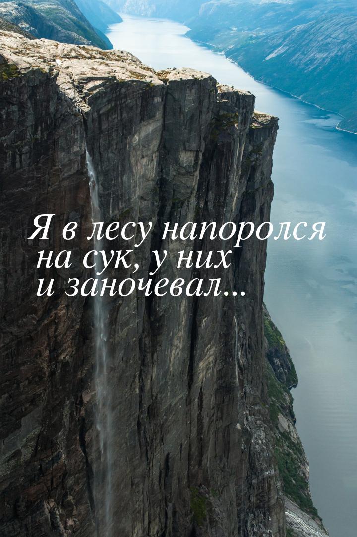 Я в лесу напоролся на сук, у них и заночевал...