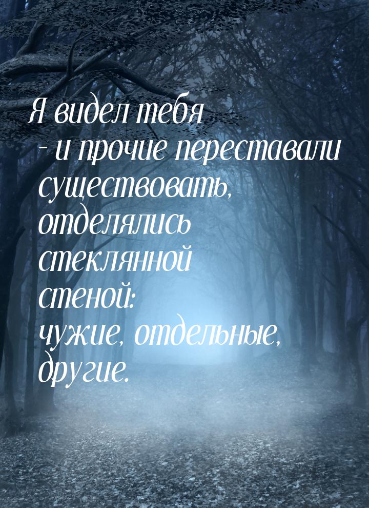 Я видел тебя – и прочие переставали существовать, отделялись стеклянной стеной: чужие, отд