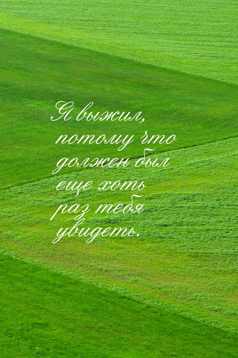 Я выжил, потому что должен был еще хоть раз тебя увидеть.