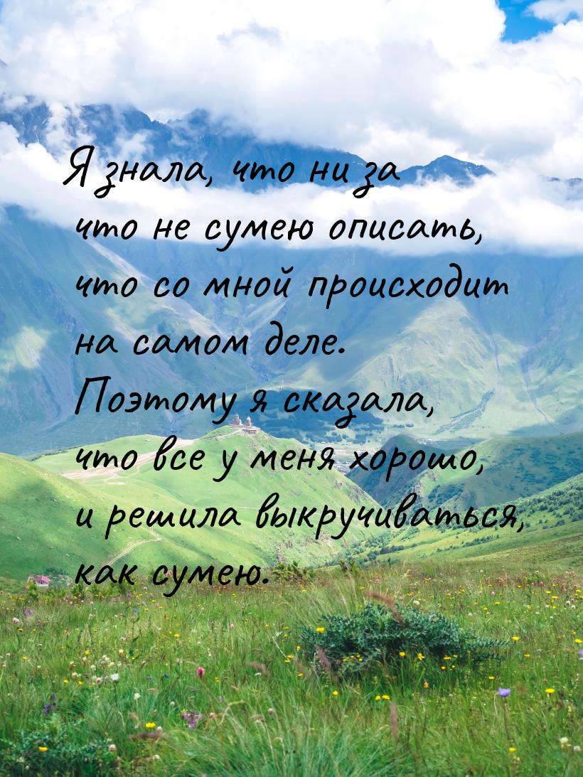 Я знала, что ни за что не сумею описать, что со мной происходит на самом деле. Поэтому я с