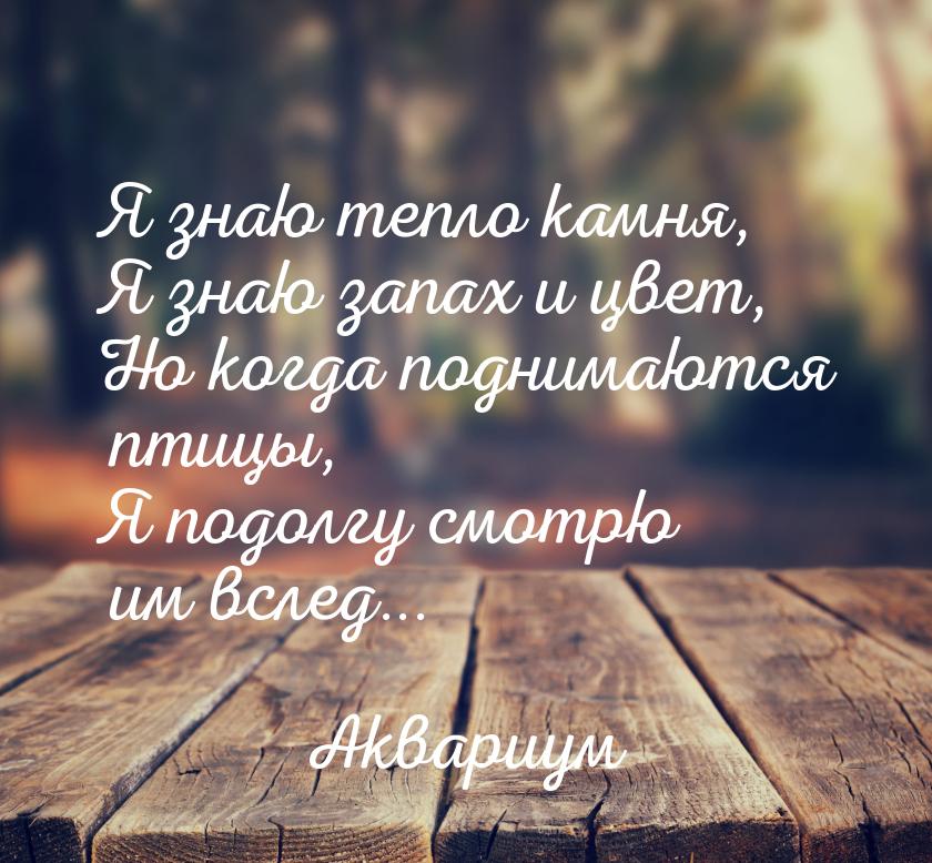 Я знаю тепло камня, Я знаю запах и цвет, Но когда поднимаются птицы, Я подолгу смотрю им в