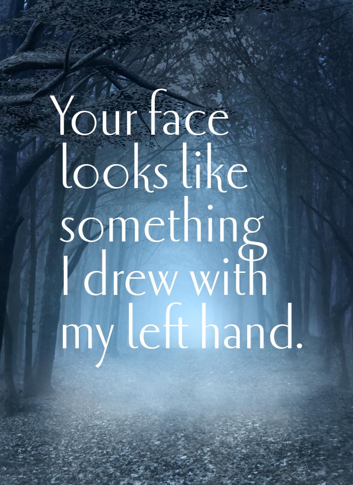 Your face looks like something I drew with my left hand.