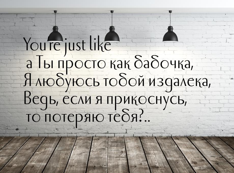 You’re just like a Ты просто как бабочка, Я любуюсь тобой издалека, Ведь, если я прикоснус