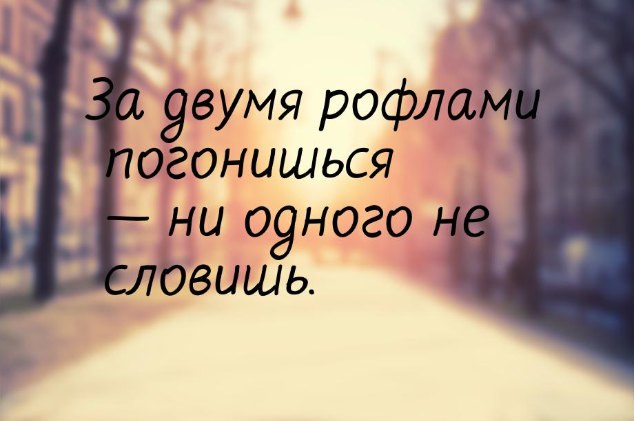 За двумя рофлами погонишься  ни одного не словишь.