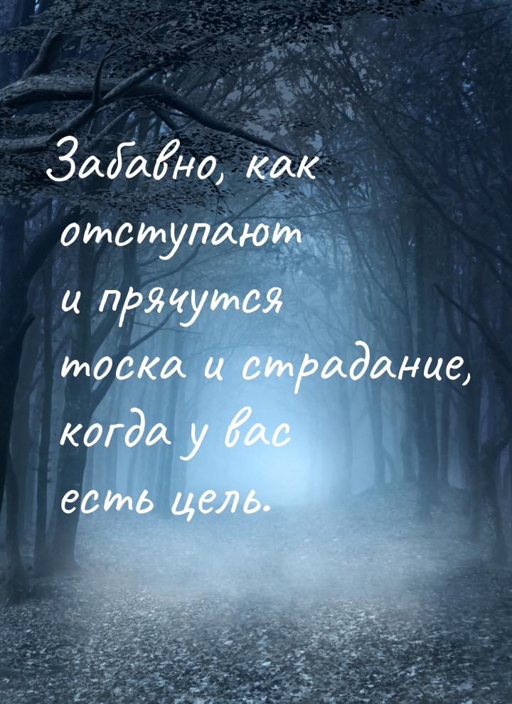 Забавно, как отступают и прячутся тоска и страдание, когда у вас есть цель.