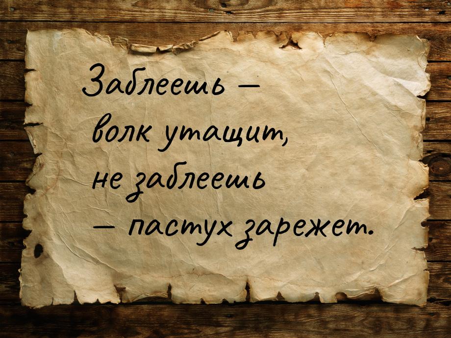 Заблеешь — волк утащит, не заблеешь — пастух зарежет.