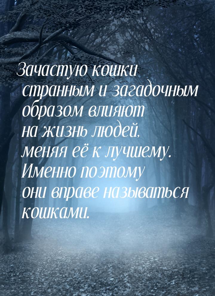 Зачастую кошки странным и загадочным образом влияют на жизнь людей, меняя её к лучшему. Им