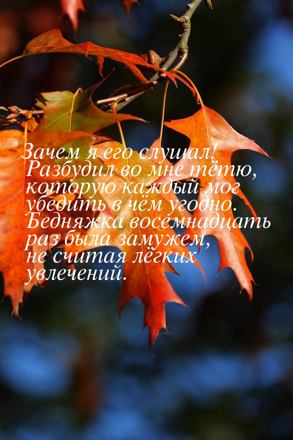 Зачем я его слушал! Разбудил во мне тётю, которую каждый мог убедить в чём угодно. Бедняжк