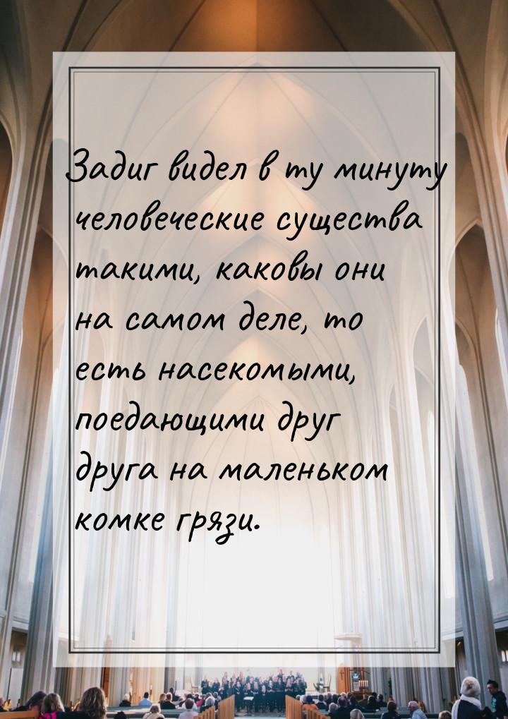 Задиг видел в ту минуту человеческие существа такими, каковы они на самом деле, то есть на