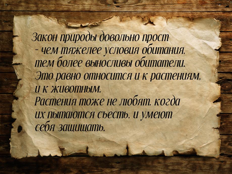 Закон природы довольно прост – чем тяжелее условия обитания, тем более выносливы обитатели