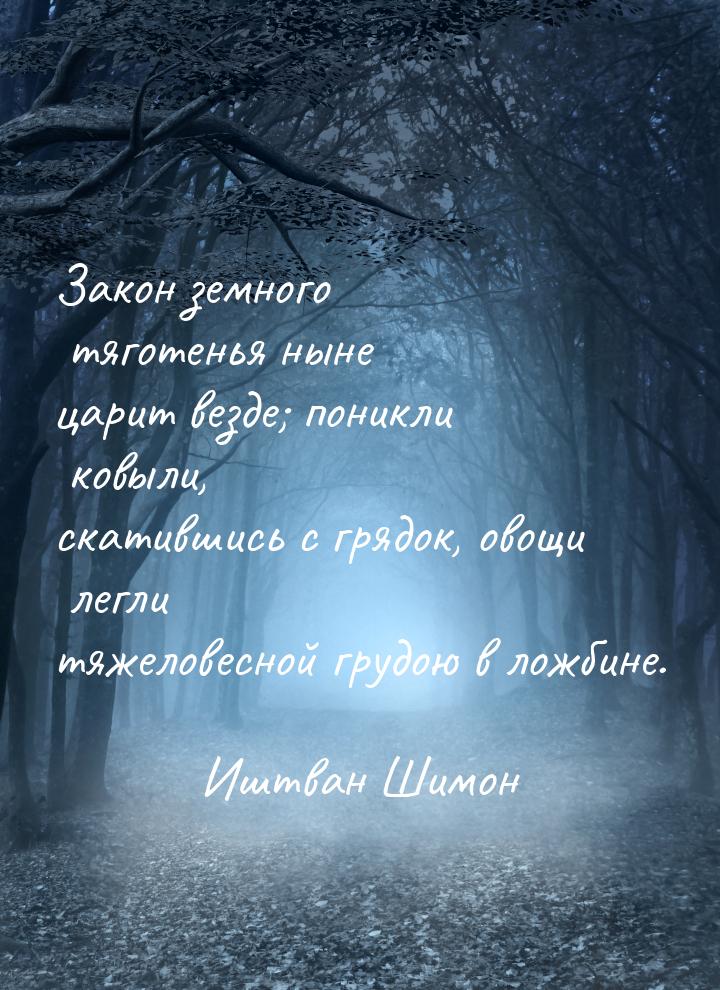 Закон земного тяготенья ныне царит везде; поникли ковыли, скатившись с грядок, овощи легли