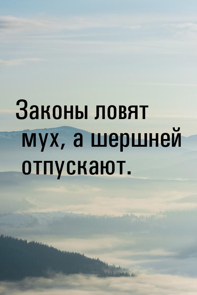 Законы ловят мух, а шершней отпускают.