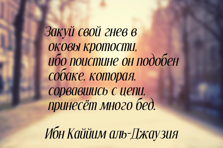 Закуй свой гнев в оковы кротости, ибо поистине он подобен собаке, которая, сорвавшись с це