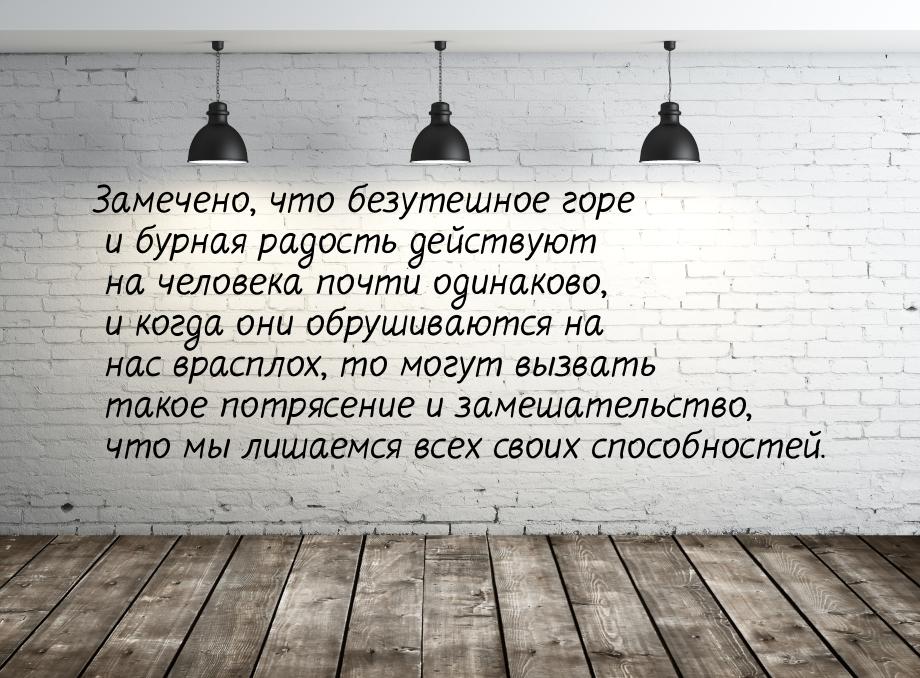 Замечено, что безутешное горе и бурная радость действуют на человека почти одинаково, и ко