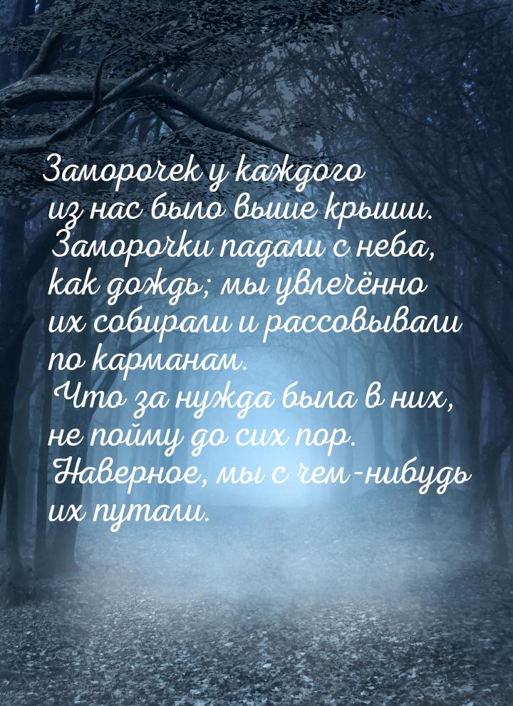 Заморочек у каждого из нас было выше крыши. Заморочки падали с неба, как дождь; мы увлечён