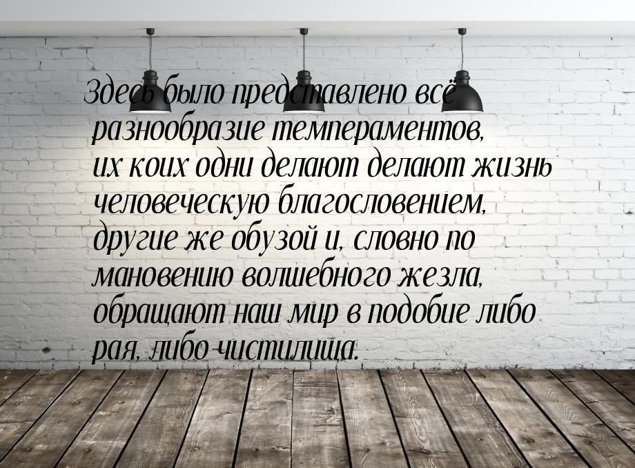 Здесь было представлено всё разнообразие темпераментов, их коих одни делают делают жизнь ч