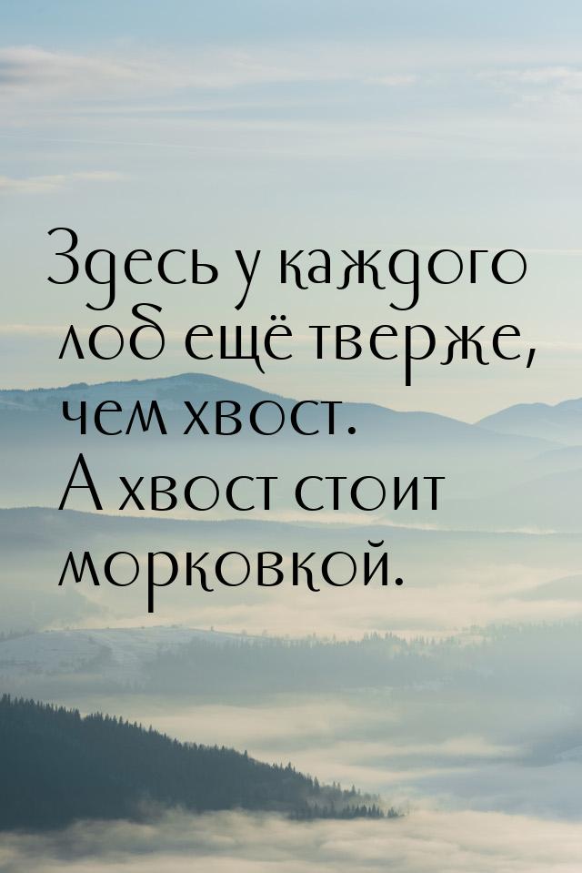 Здесь у каждого лоб ещё тверже, чем хвост. А хвост стоит морковкой.