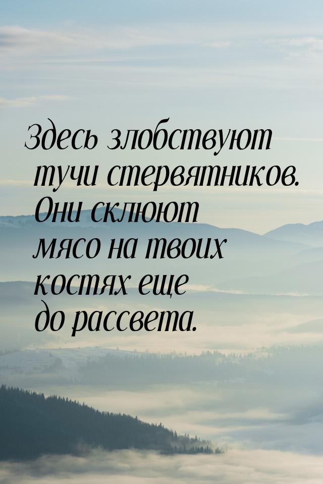 Здесь злобствуют тучи стервятников. Они склюют мясо на твоих костях еще до рассвета.