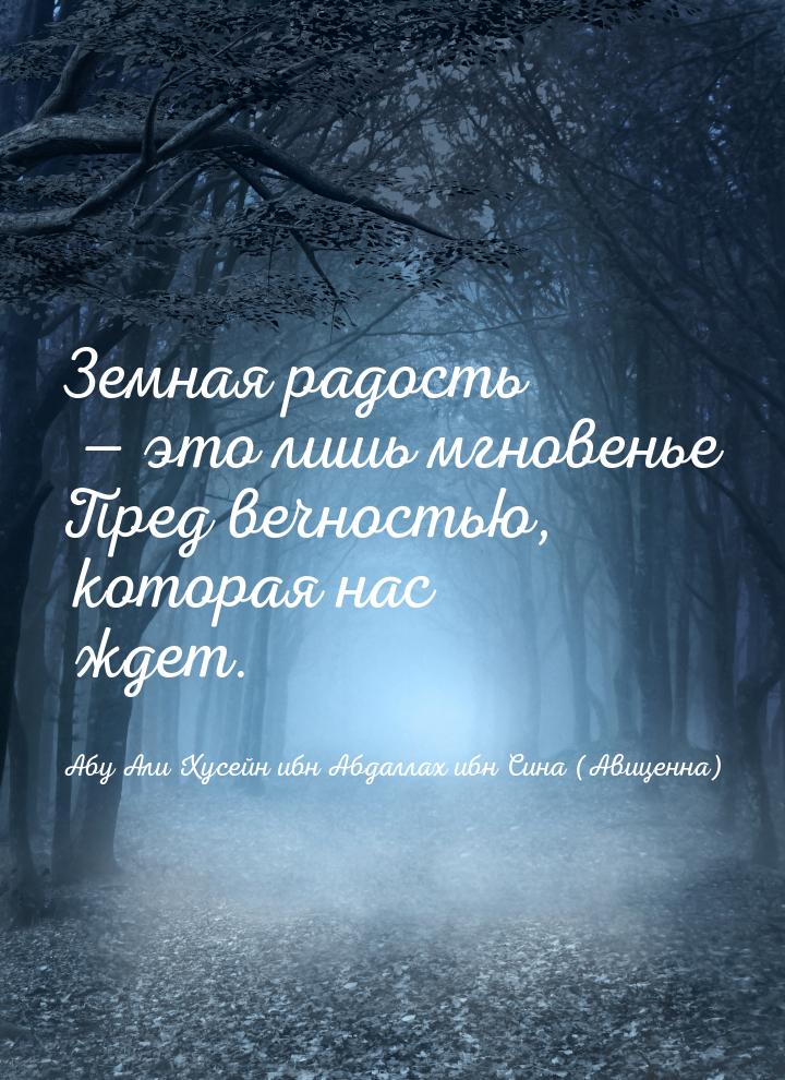 Земная радость  это лишь мгновенье Пред вечностью, которая нас ждет.