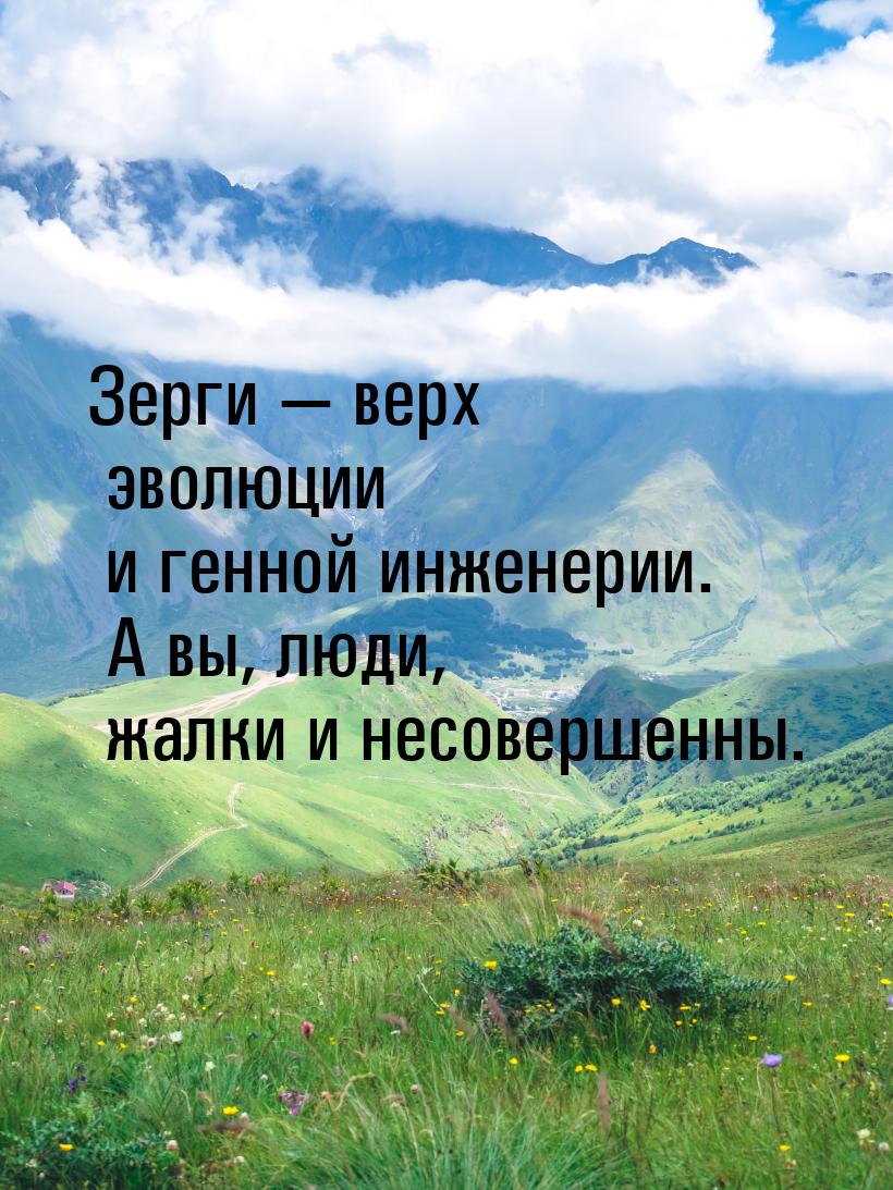 Зерги  верх эволюции и генной инженерии. А вы, люди, жалки и несовершенны.