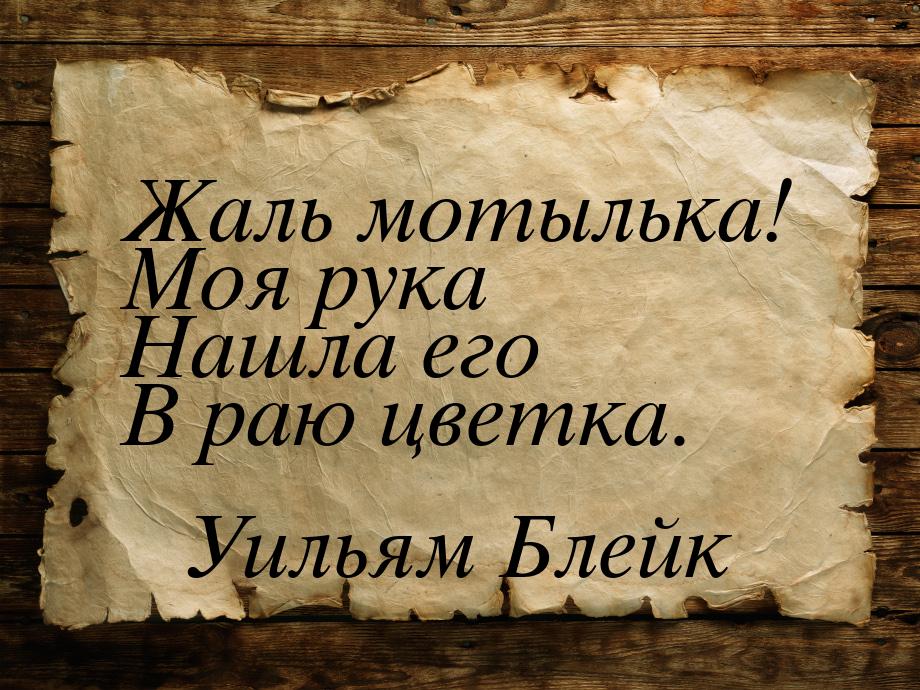 Жаль мотылька! Моя рука Нашла его В раю цветка.