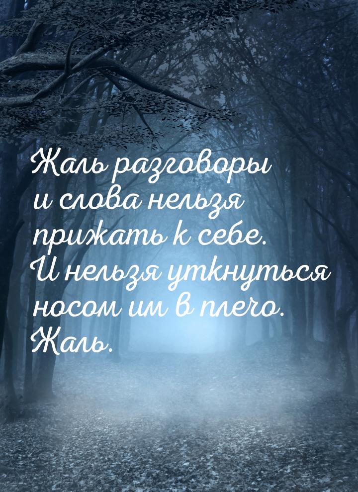 Жаль разговоры и слова нельзя прижать к себе. И нельзя уткнуться носом им в плечо. Жаль.