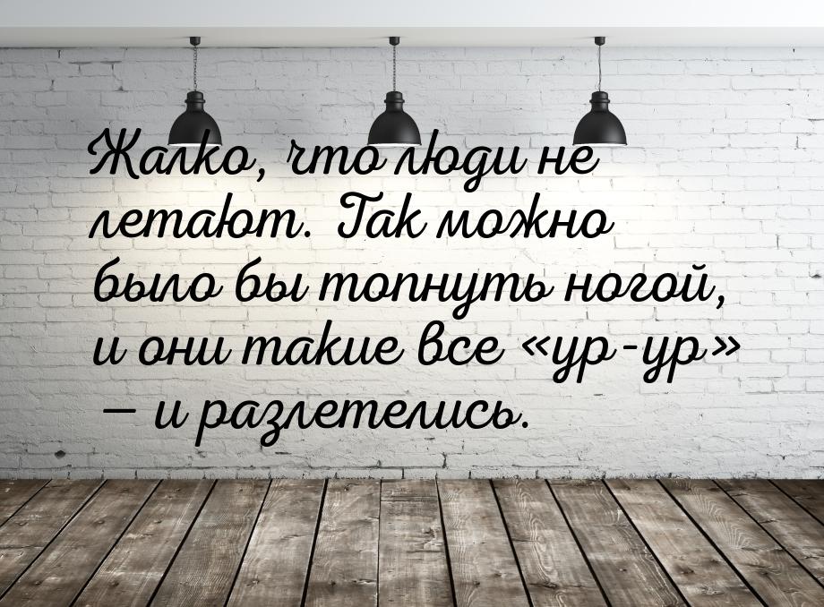 Жалко, что люди не летают. Так можно было бы топнуть ногой, и они такие все ур-ур&r