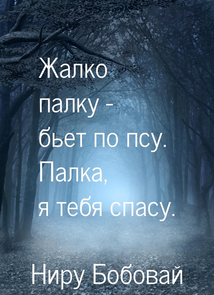 Жалко палку - бьет по псу. Палка, я тебя спасу.