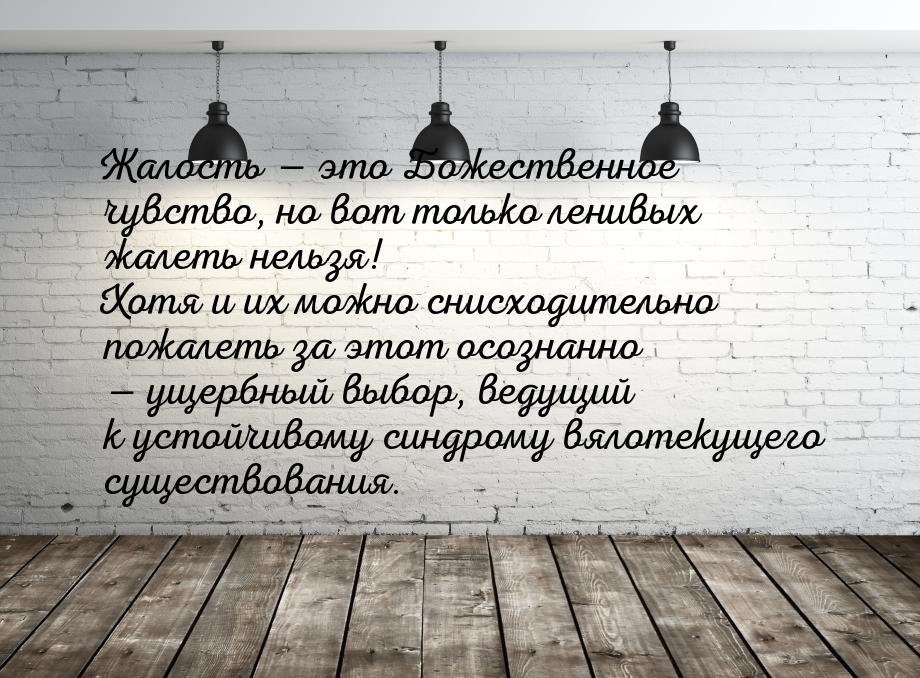 Жалость — это Божественное чувство, но вот только ленивых жалеть нельзя! Хотя и их можно с