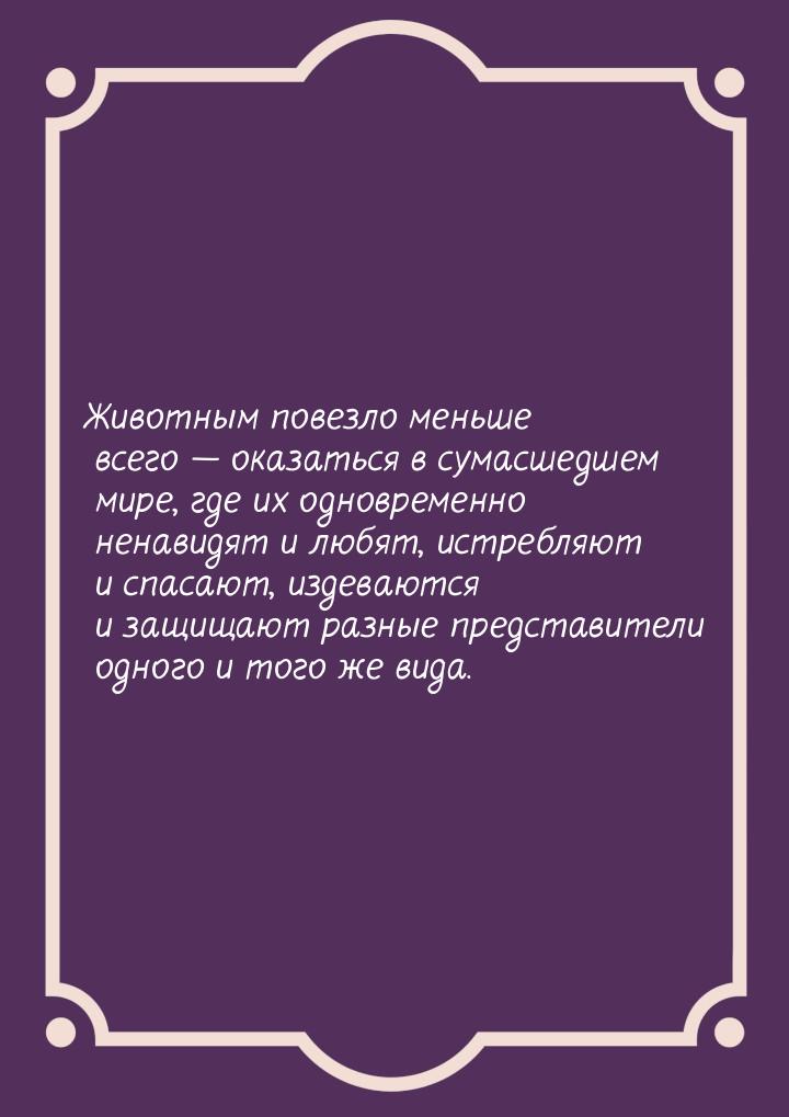 Животным повезло меньше всего  оказаться в сумасшедшем мире, где их одновременно не