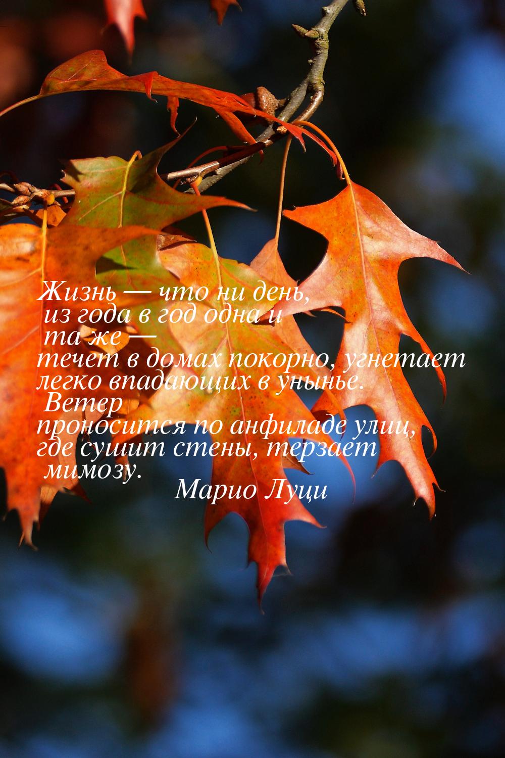 Жизнь — что ни день, из года в год одна и та же — течет в домах покорно, угнетает легко вп