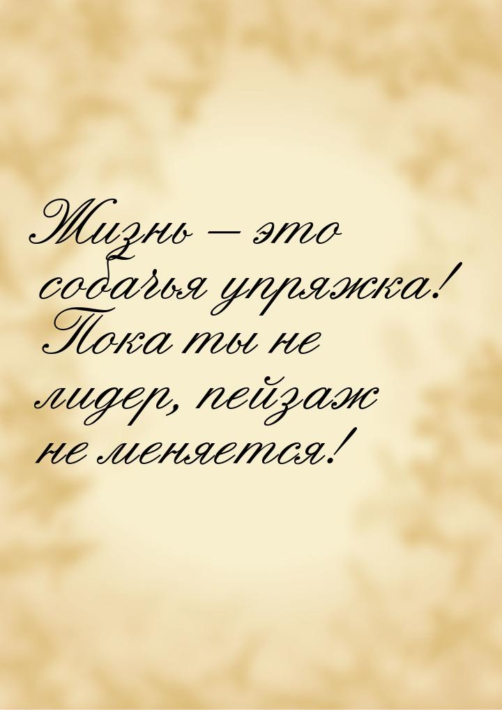 Жизнь – это собачья упряжка! Пока ты не лидер, пейзаж не меняется!