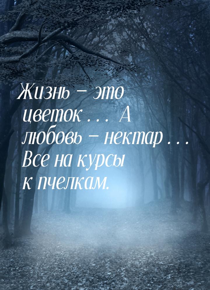 Жизнь — это цветок… А любовь — нектар… Все на курсы к пчелкам.