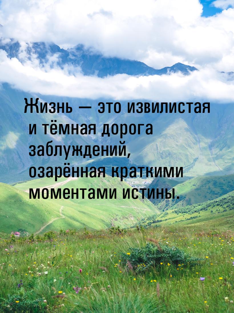 Жизнь  это извилистая и тёмная дорога заблуждений, озарённая краткими моментами ист