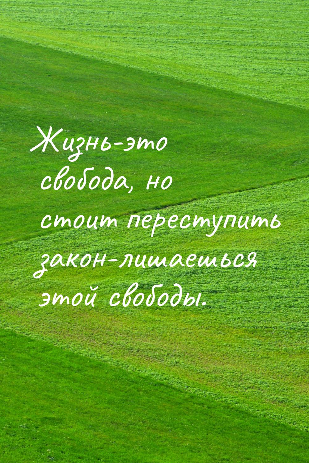 Жизнь-это свобода, но стоит переступить закон-лишаешься этой свободы.