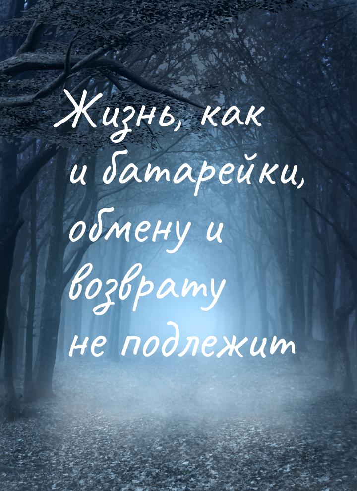 Жизнь, как и батарейки, обмену и возврату не подлежит