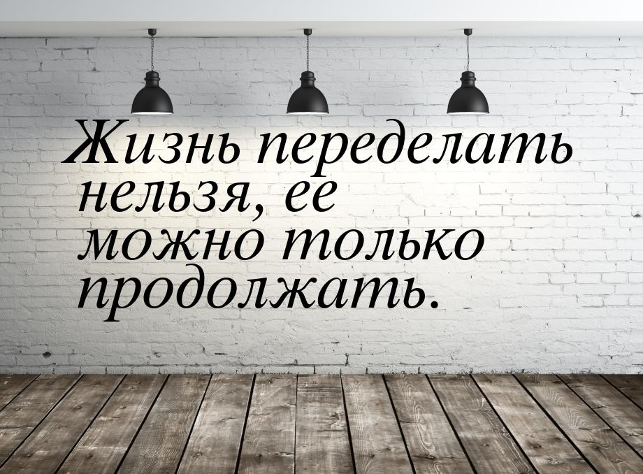 Жизнь переделать нельзя, ее можно только продолжать.