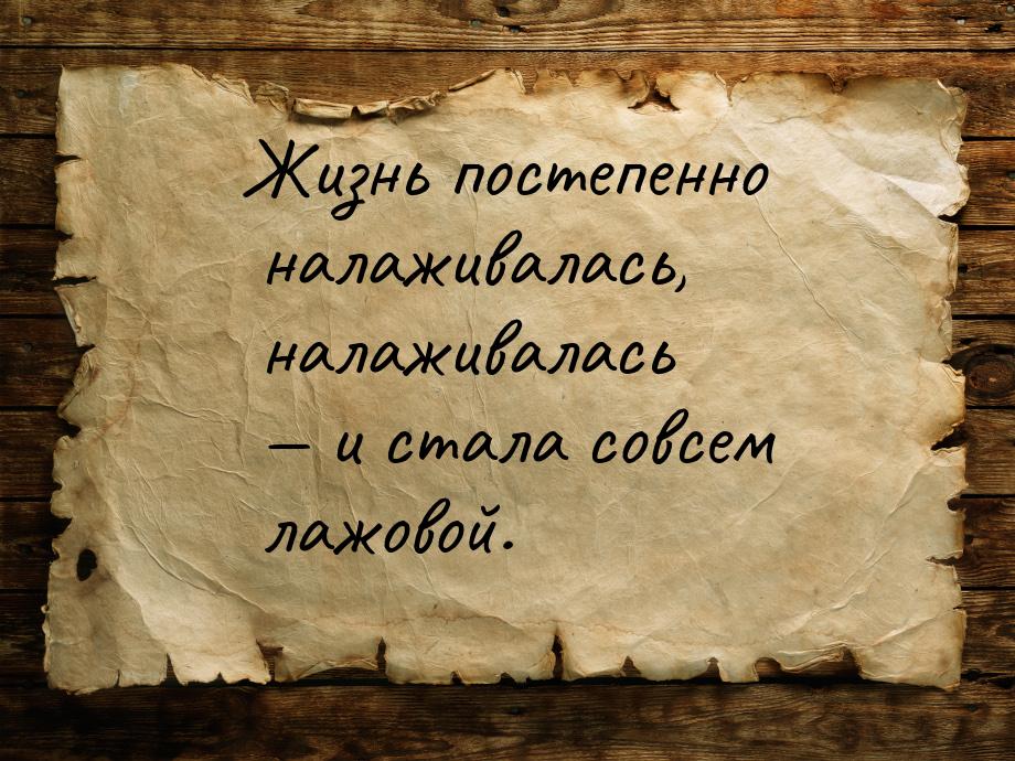 Жизнь постепенно налаживалась, налаживалась  и стала совсем лажовой.