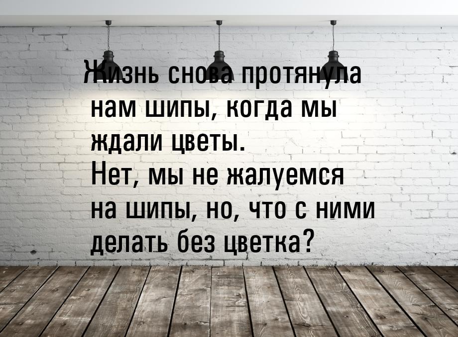 Жизнь снова протянула нам шипы, когда мы ждали цветы. Нет, мы не жалуемся на шипы, но, что