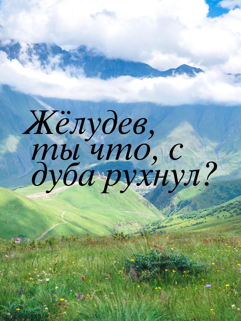 Жёлудев, ты что, с дуба рухнул?