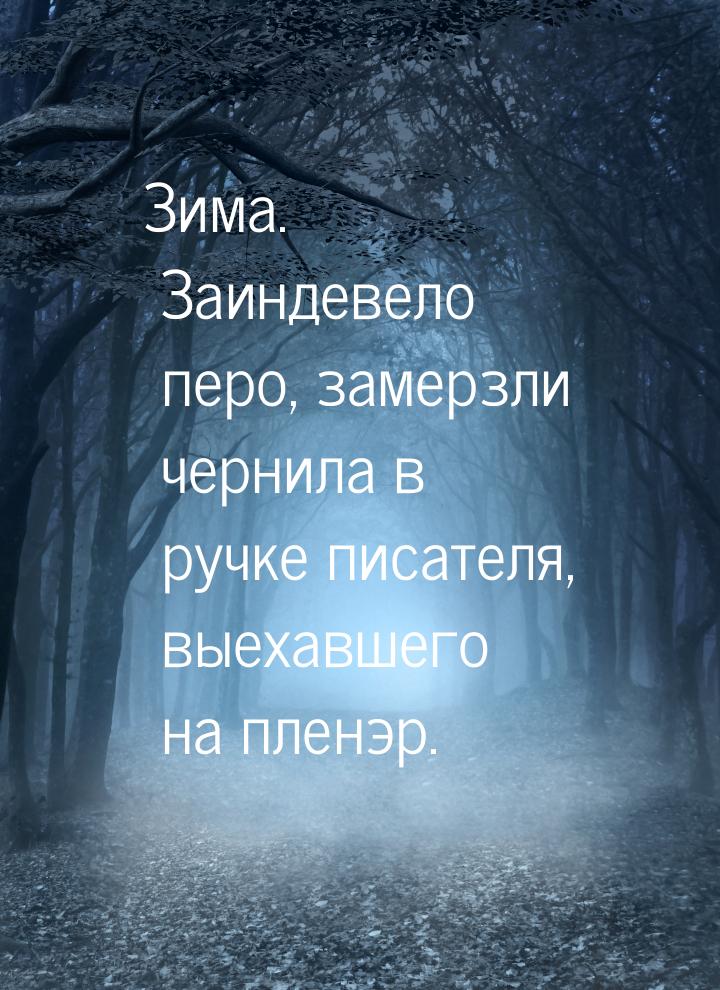 Зима. Заиндевело перо, замерзли чернила в ручке писателя, выехавшего на пленэр.