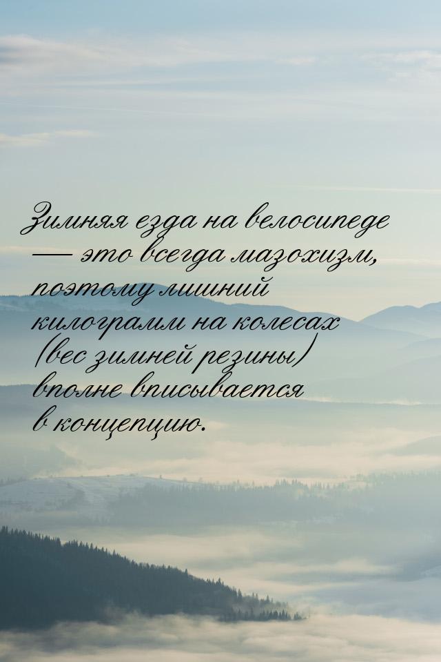 Зимняя езда на велосипеде — это всегда мазохизм, поэтому лишний килограмм на колесах (вес 