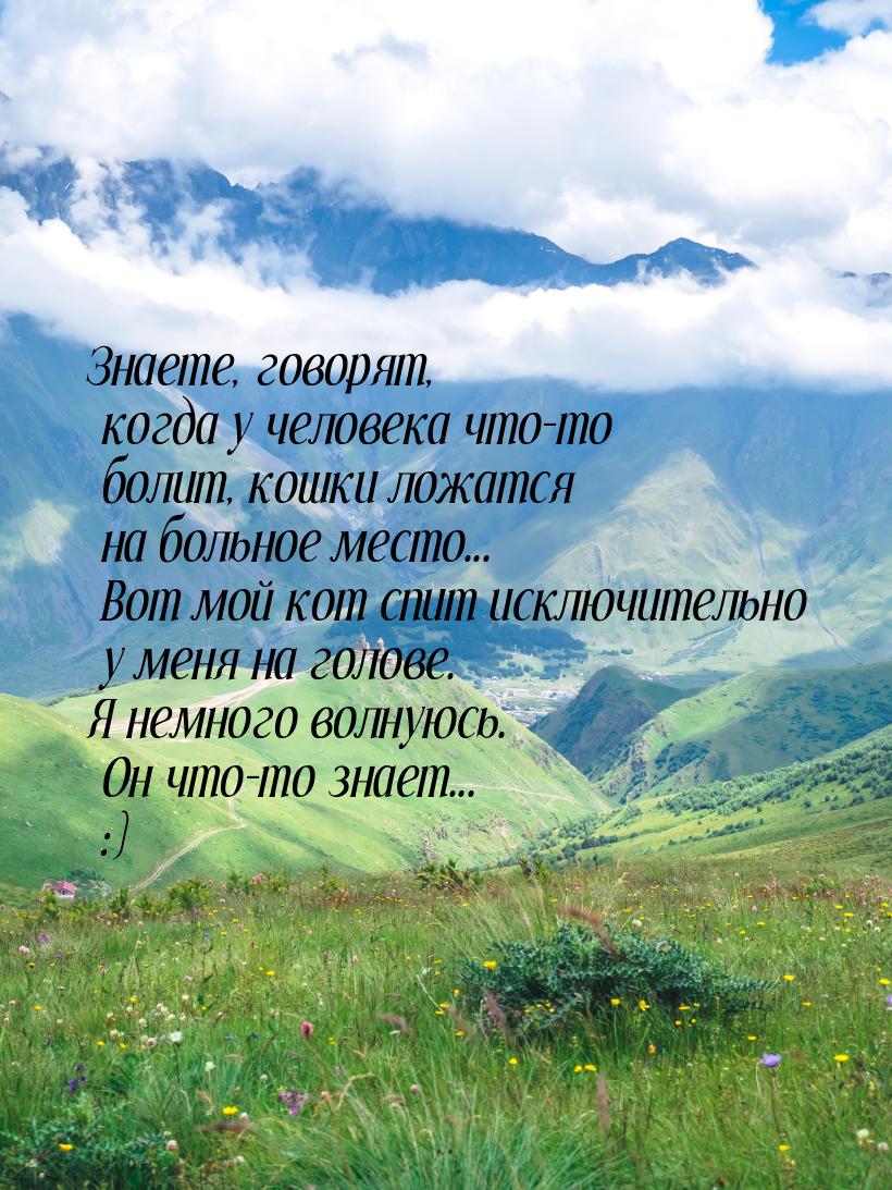 Знаете, говорят, когда у человека что-то болит, кошки ложатся на больное место... Вот мой 