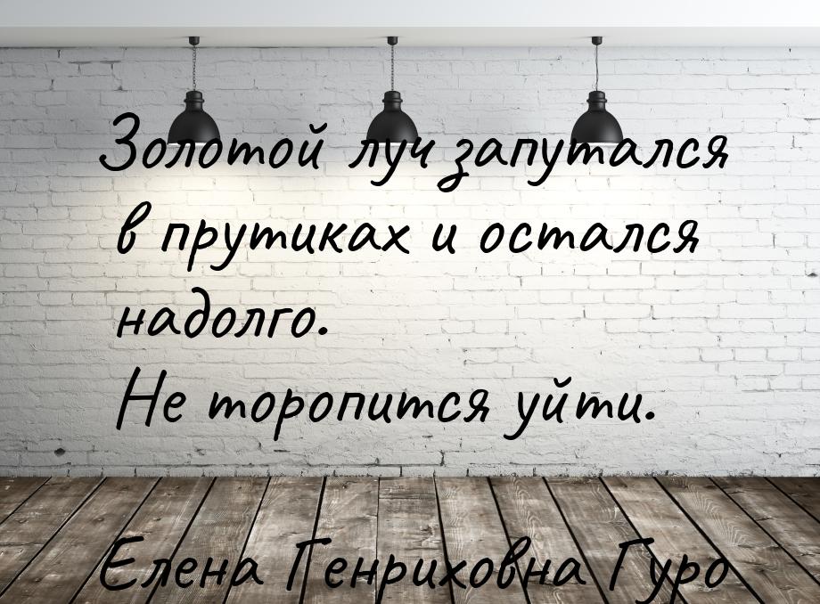 Золотой луч запутался в прутиках и остался надолго. Не торопится уйти.