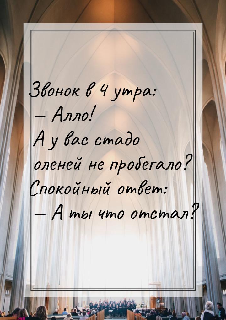 Звонок в 4 утра:  Алло! А у вас стадо оленей не пробегало? Спокойный ответ: 